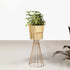 Avant-Garden Planters - Medium - Gold